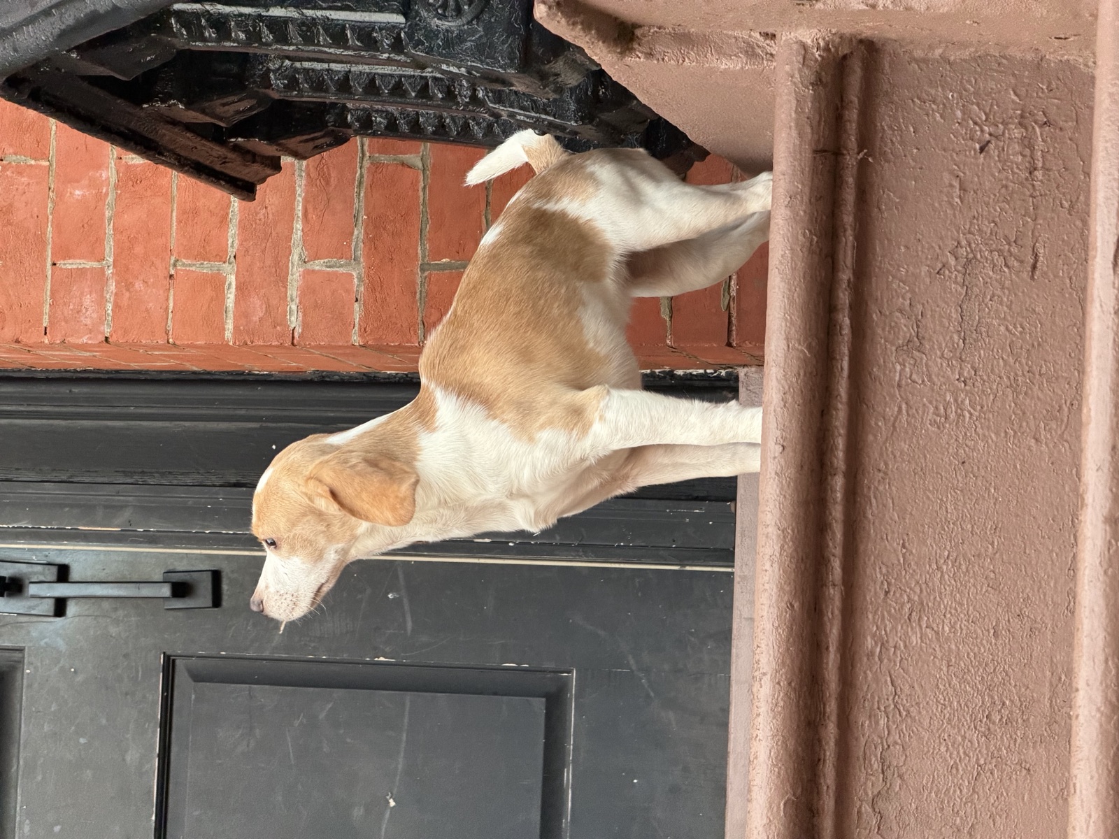 On her own stoop.
