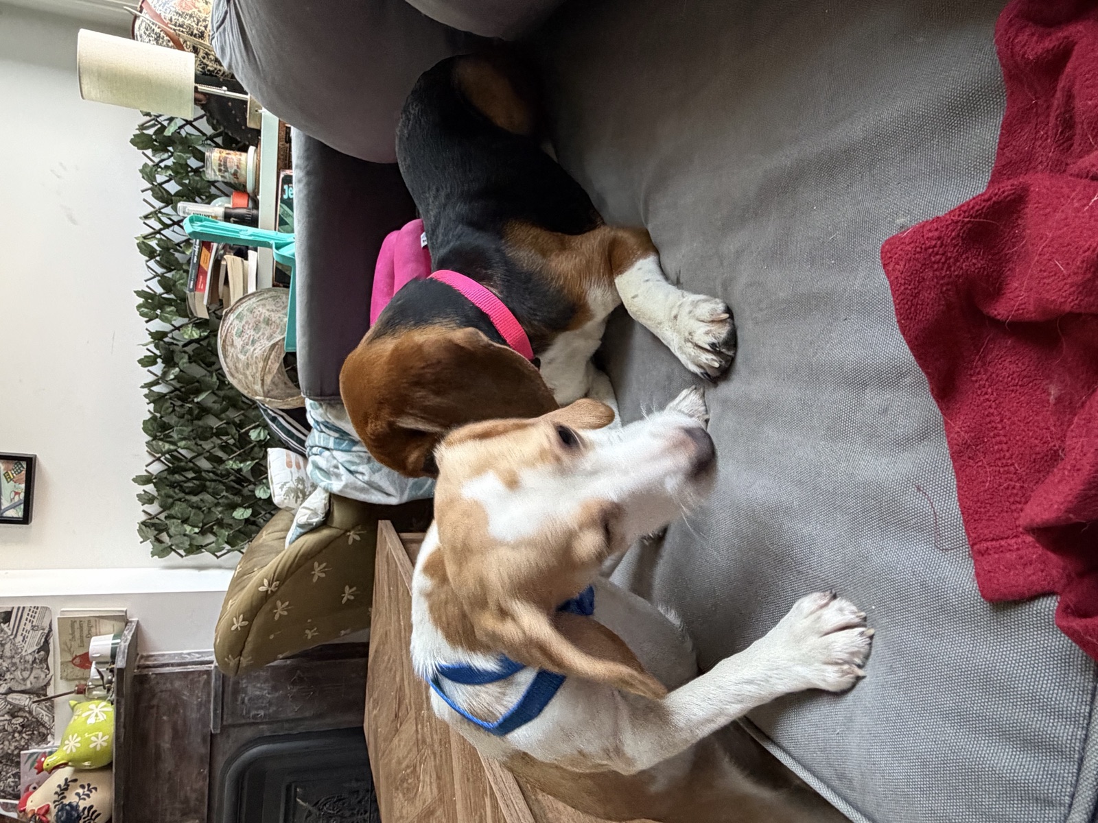 Sharing a home.