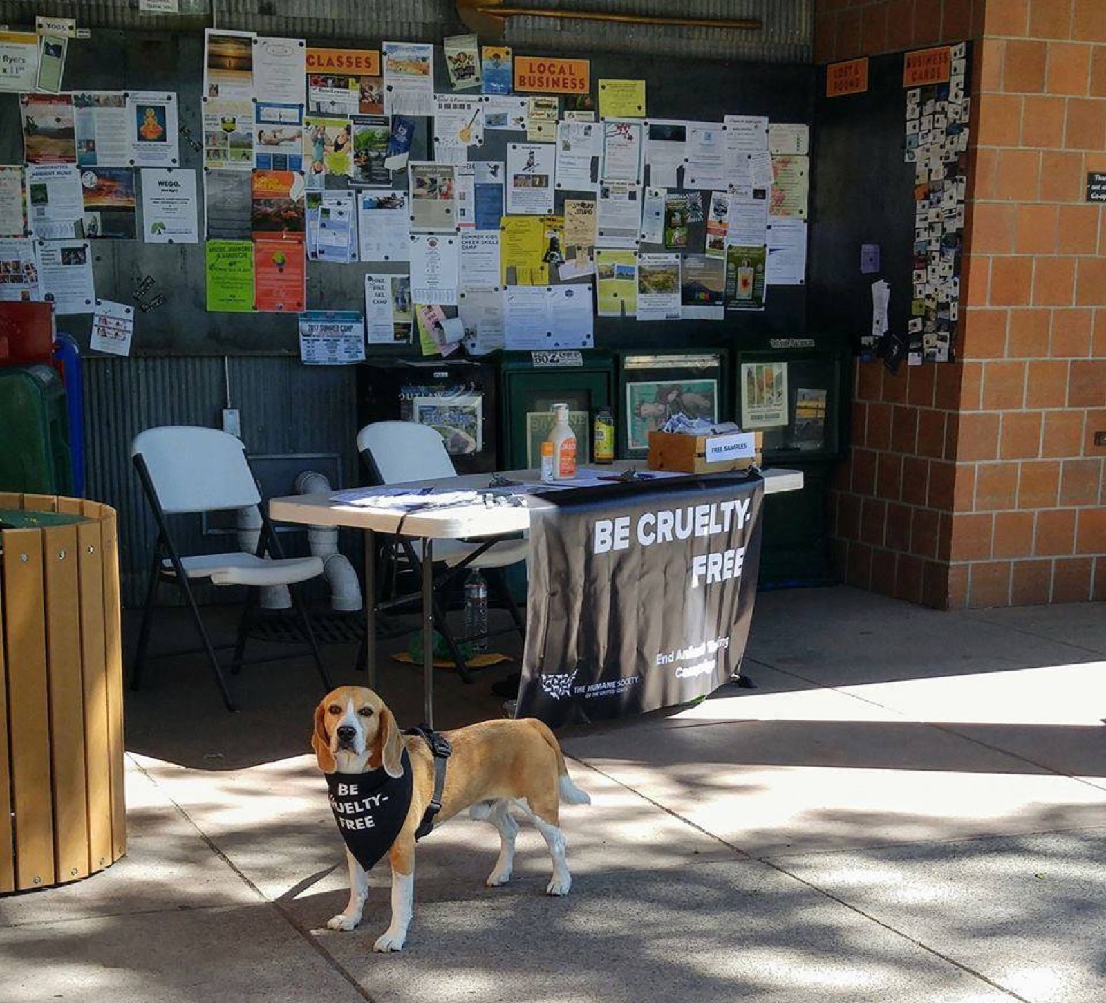 Marty at a 'Be Cruelty-Free' table — paying it forward.