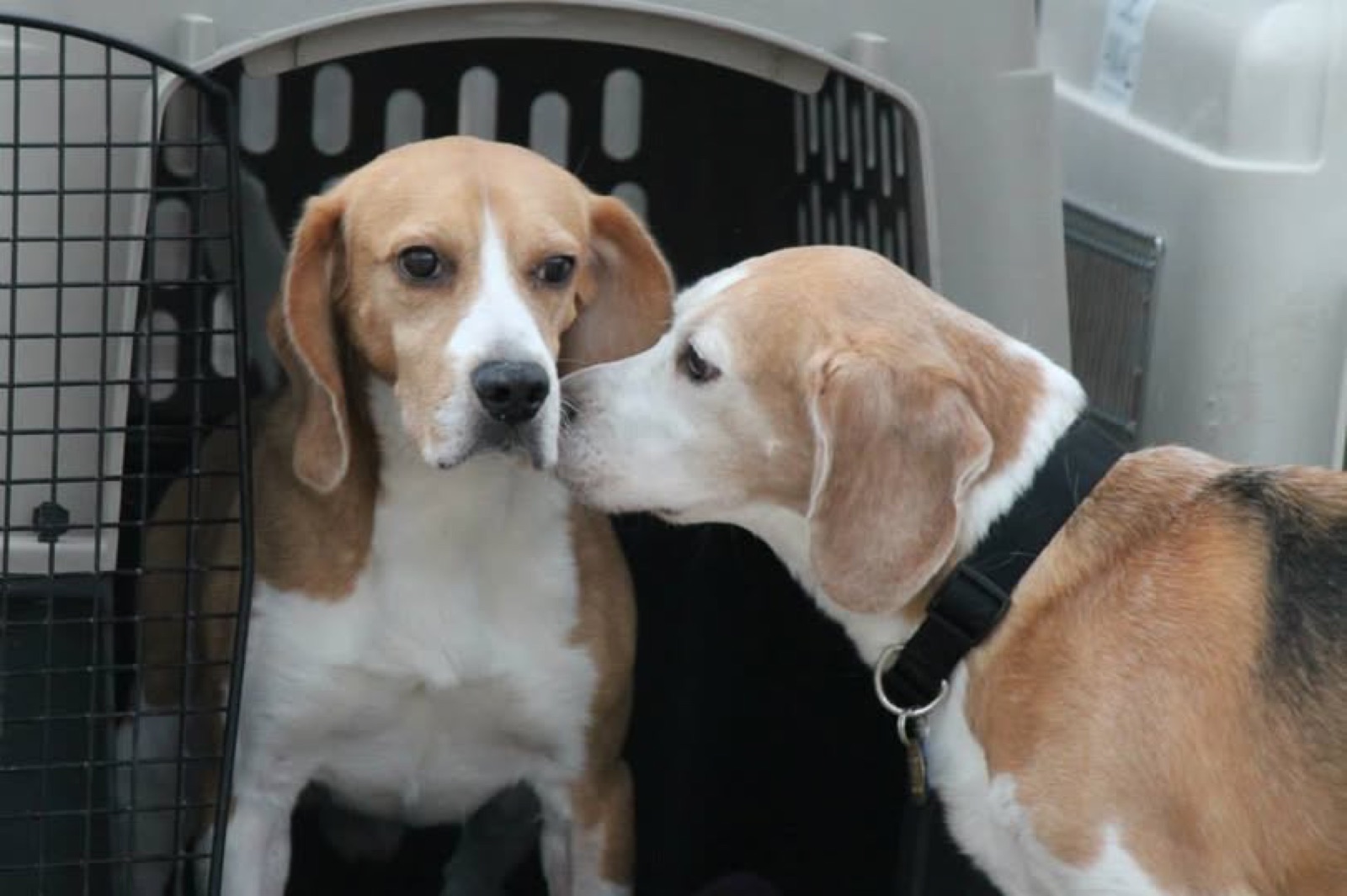 Marty's first day of freedom — sharing a kiss with a friend.