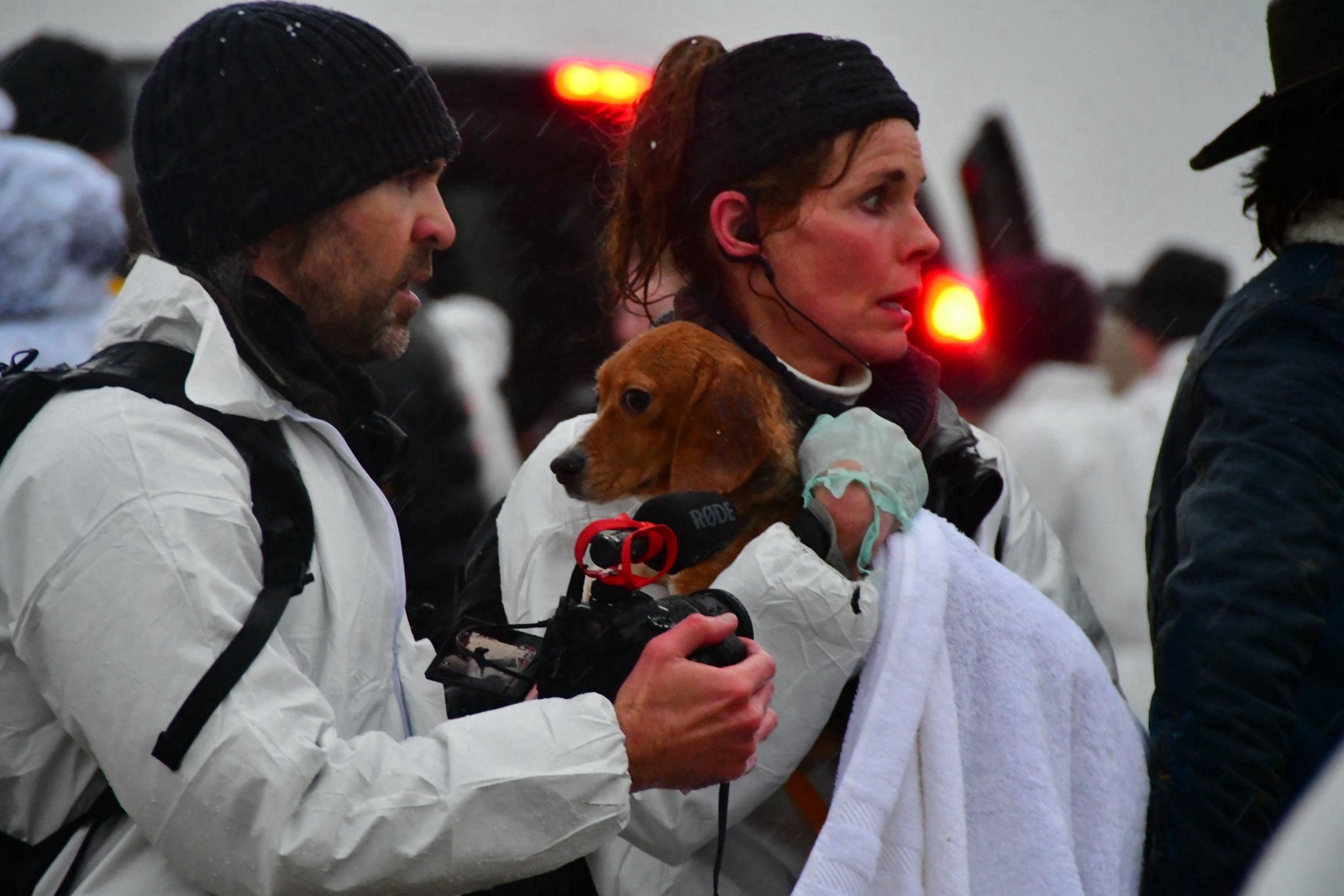 Open Letter — 31 Organizations Demand Justice | SaveTheDogs