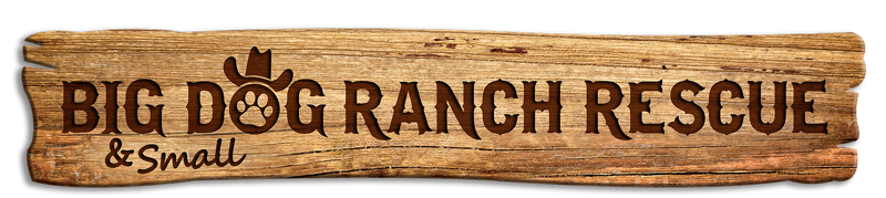 Big Dog Ranch Rescue