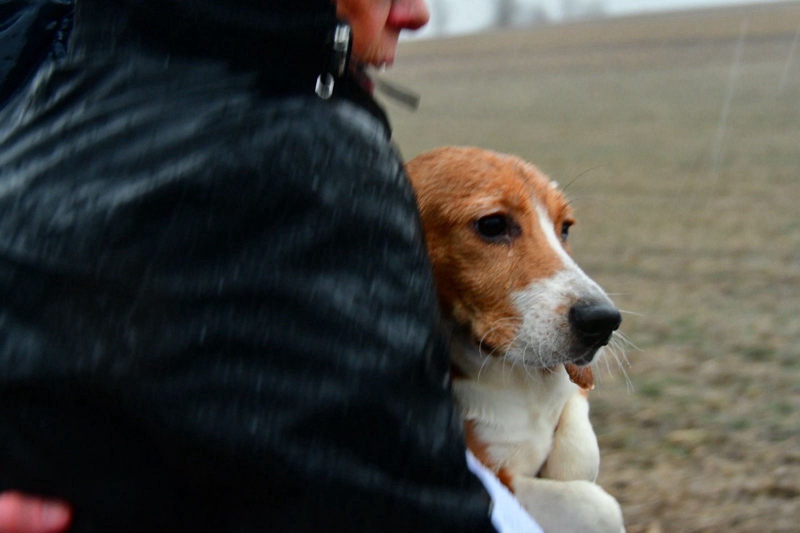 Scene from the March 15 rescue.