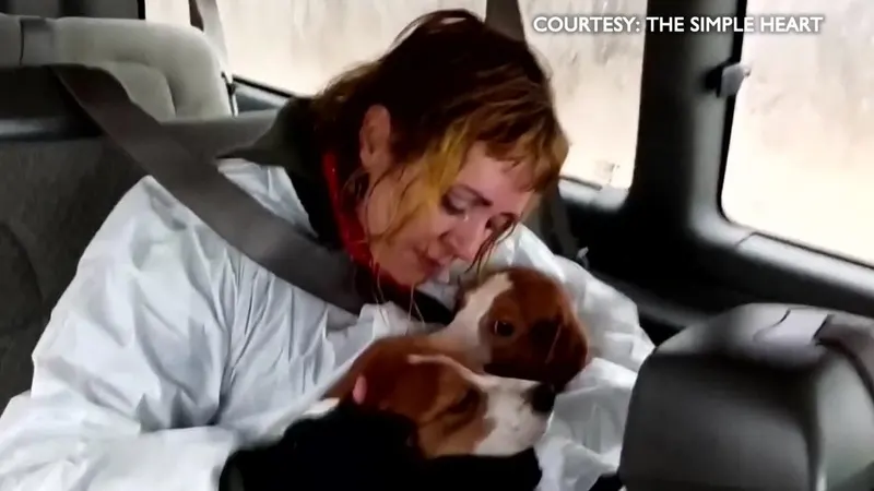 California woman joins mission to rescue beagles from Wisconsin breeding facility