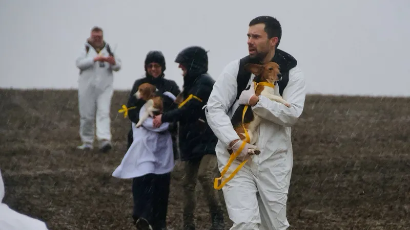 Animal Rights Activists Target Wisconsin Facility Accused of Breeding Dogs for Medical Experiments