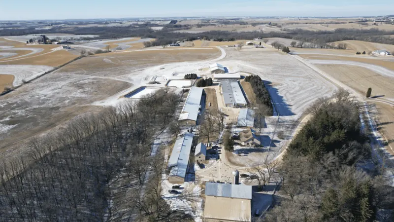 Lawsuit seeks to apply habeas corpus to beagles at Ridglan Farms
