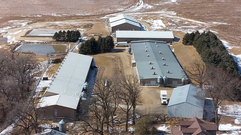 Activists plan beagle 'rescue' at Ridglan Farms