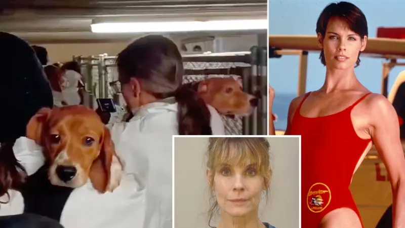 'Baywatch' actress Alexandra Paul arrested for freeing beagles in animal rights protest