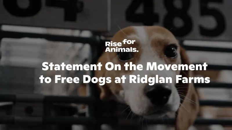 On the Movement to Free Dogs at Ridglan Farms