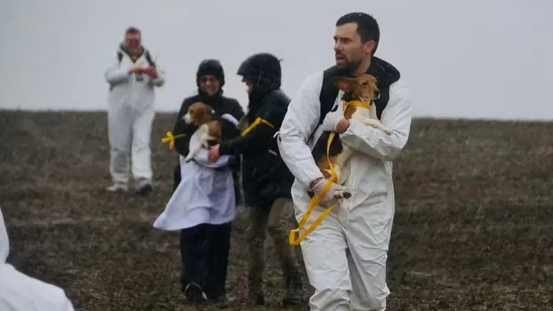 Animal activists openly planning raid at Wisconsin breeding, research facility