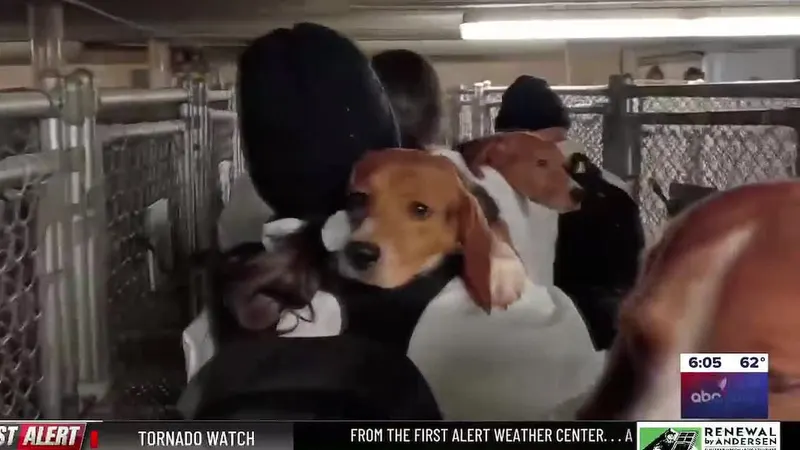 Animal activists plan return to Dane County facility after arrests last month