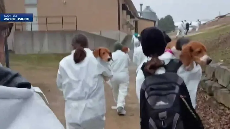 Animal rights activists break into Dane Co. beagle farm, 27 arrested